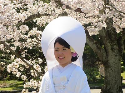 洋髪でも綿帽子がかぶれるんですっ♪ﾐ | TAGAYA BRIDAL - 京都・大阪